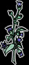 Deadly Nightshade