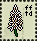 asphodel