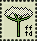 hemlock