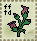 nightshade