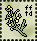 wormwood