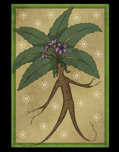 FlowersForTheDead.net